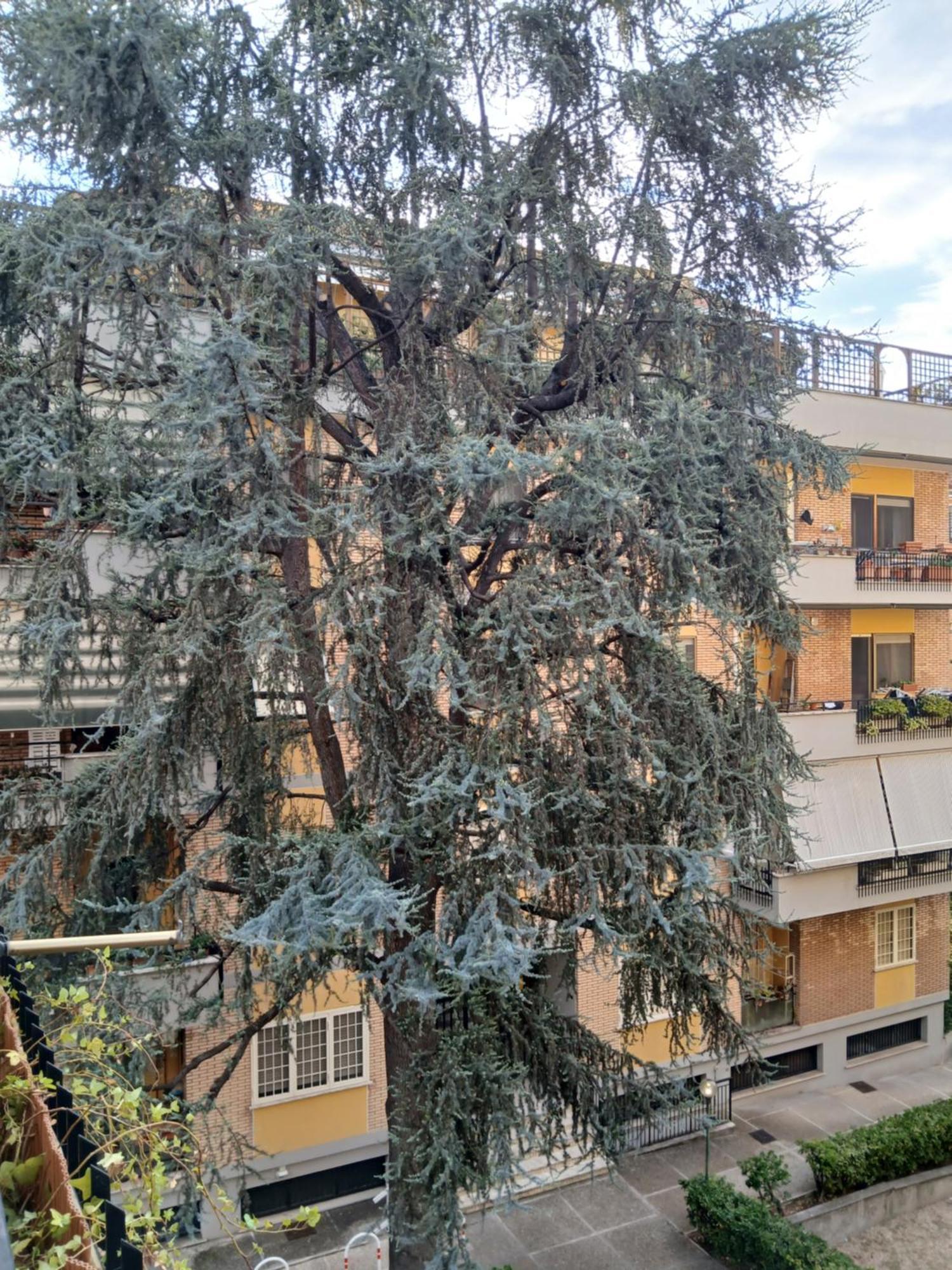 La Casa Di Antonella E Giuseppe Διαμέρισμα Ρώμη Εξωτερικό φωτογραφία